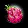 your own island dragonfruit symbol