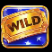 big rich turkeys wild symbol