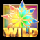 christmas megapots wild symbol