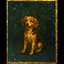 disorder dog symbol