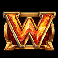 dragon duo wild symbol