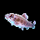 happy nets gray fish symbol
