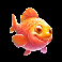 happy nets orange fish symbol