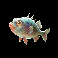happy nets puffa fish symbol
