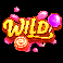sweet craze wild symbol