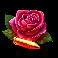 toro 911 rose symbol